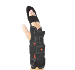 DIGIFORM PLUS